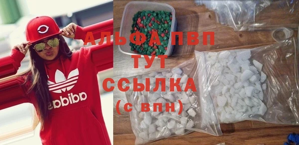 СК Алексин