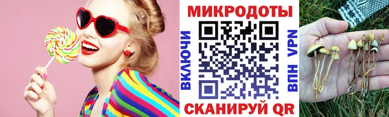 Псилоцибиновые грибы GOLDEN TEACHER  Тотьма 